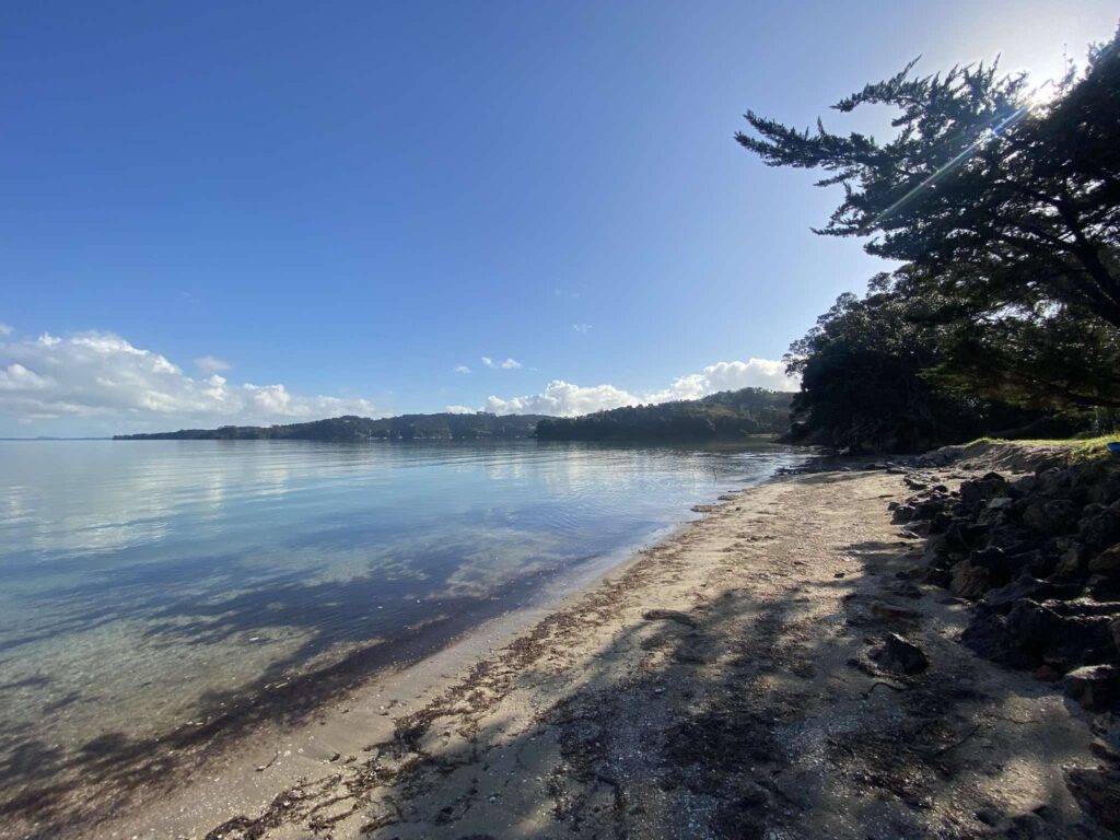 Hooks Beach Shoreline