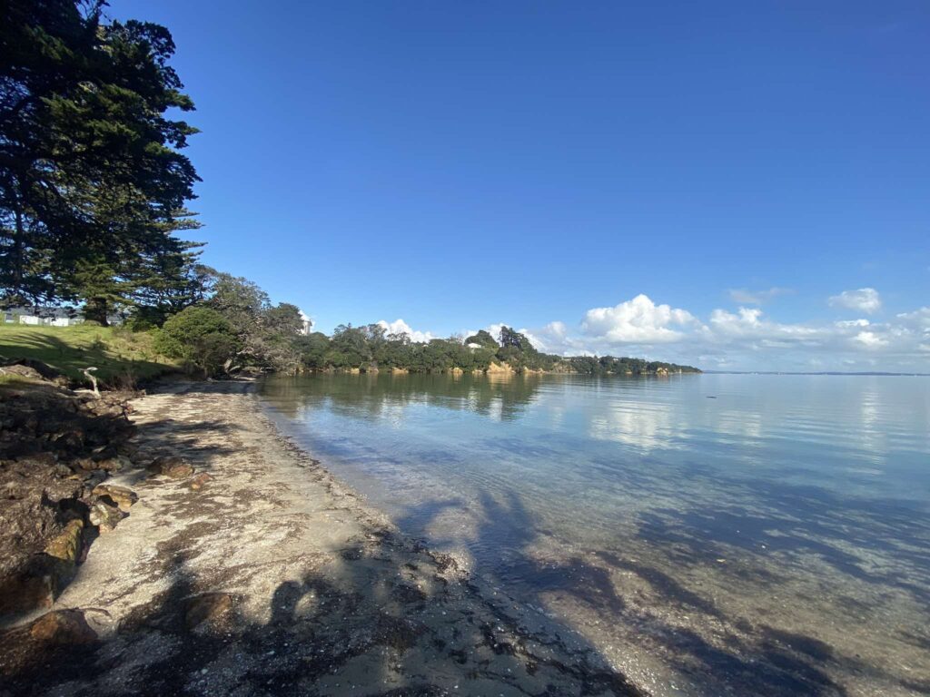 Hooks Beach Shoreline