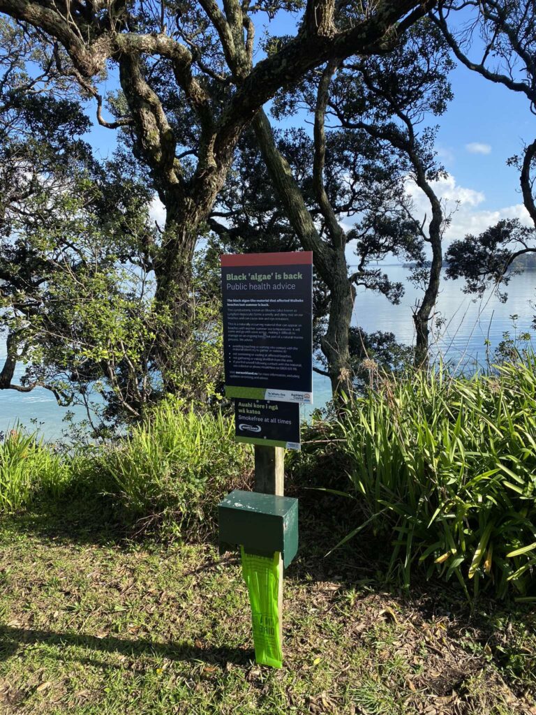 Hooks Beach Signage