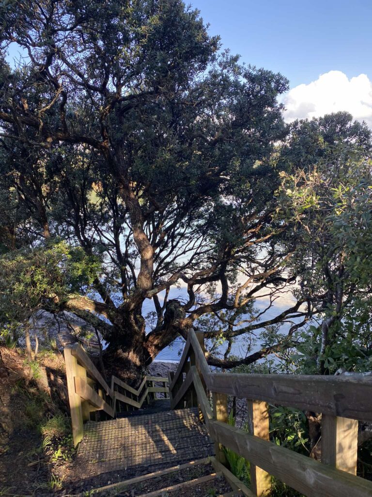 Hooks Beach Staircase Access