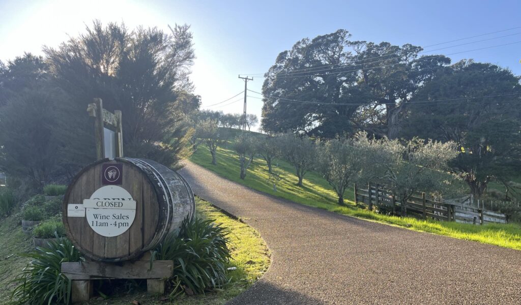 Kennedy Point Vineyard Featured Image