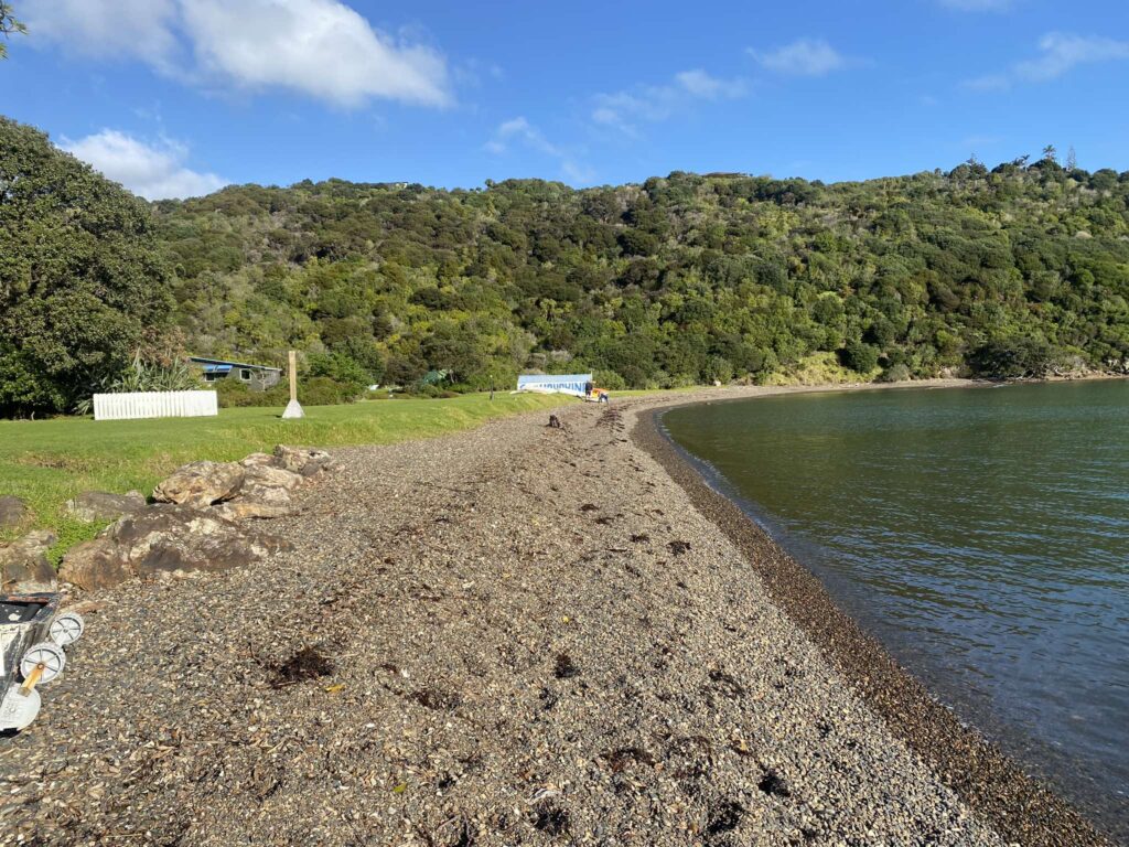 Matiatia Bay Beach Grass Area