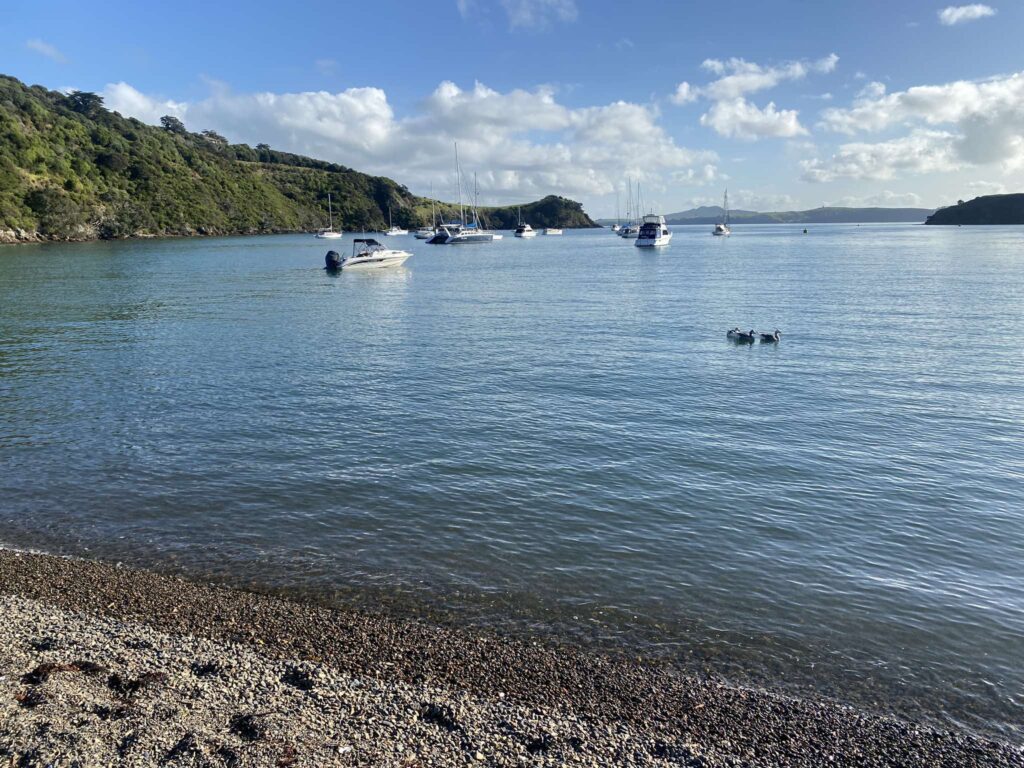 Matiatia Bay Beach View