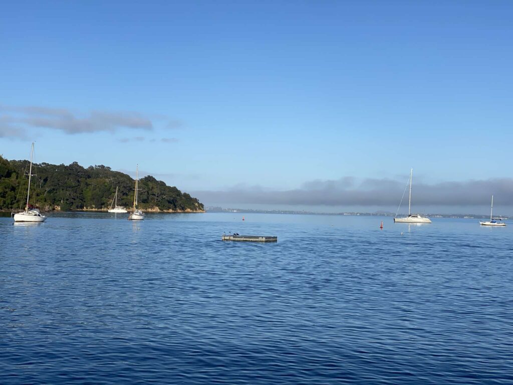 Picnic Bay Pontoon