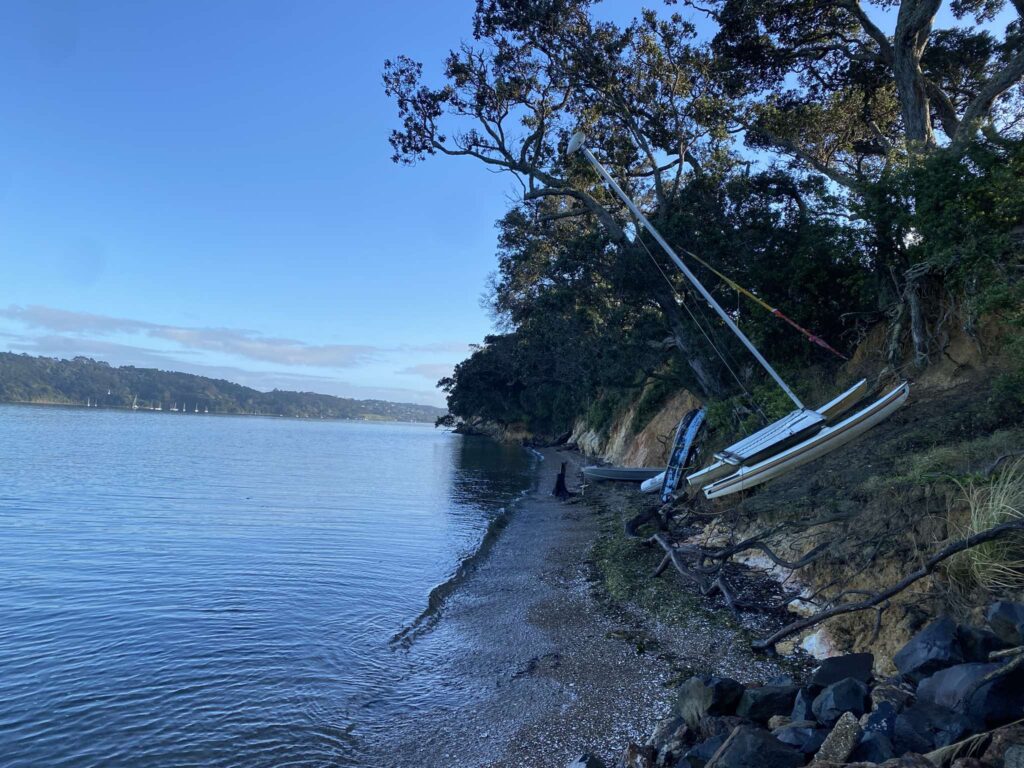 Picnic Bay Shoreline