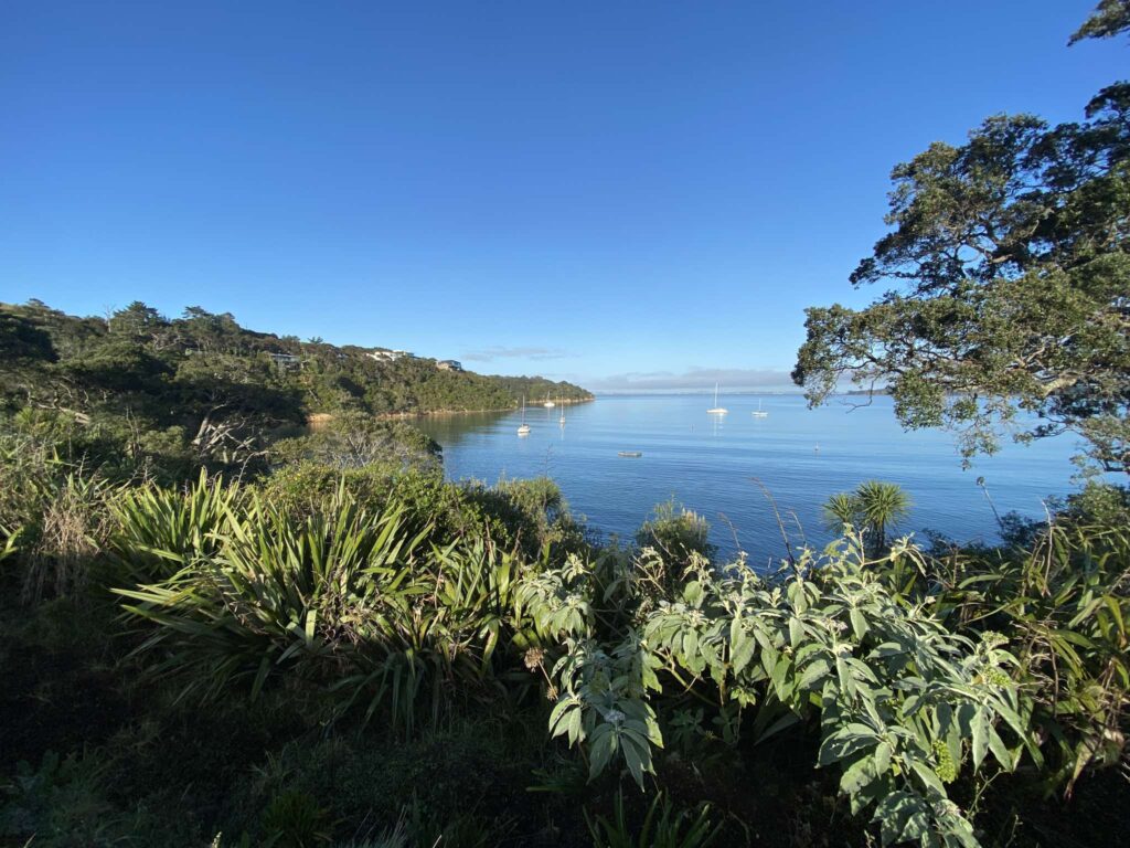 Picnic Bay View