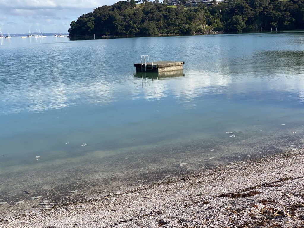 Shelly Beach Pontoon