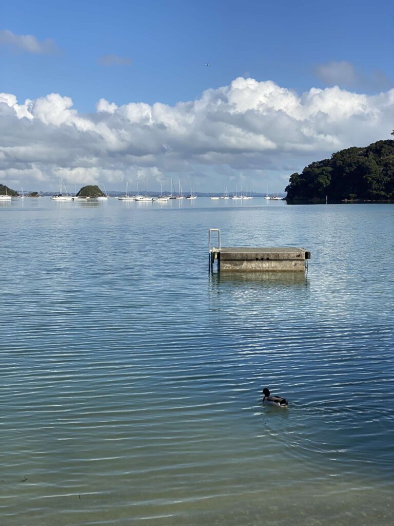 Shelly Beach Pontoon