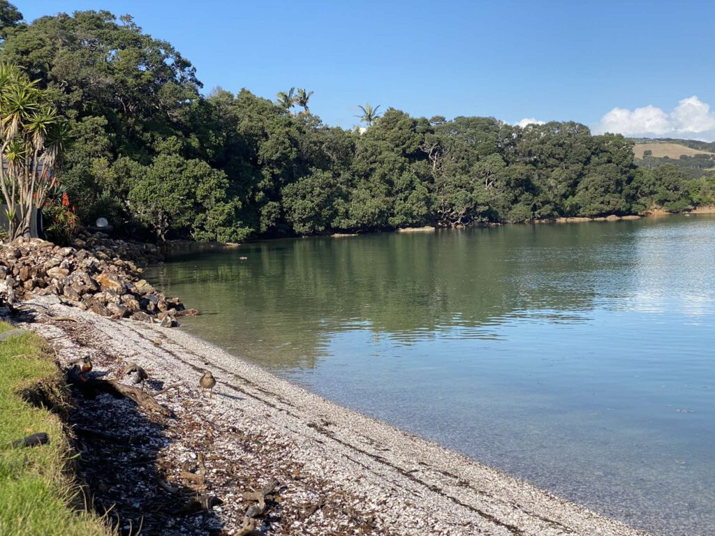 Shelly Beach Shoreline