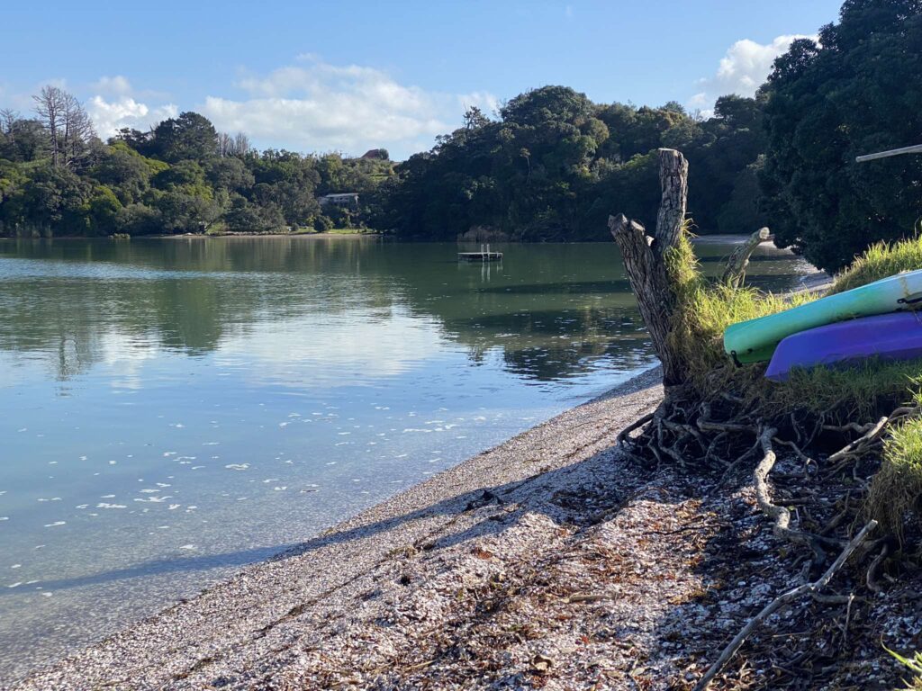 Shelly Beach View