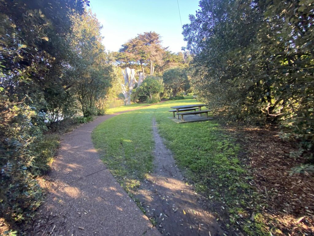 Surfdale Beach Picnic Seating