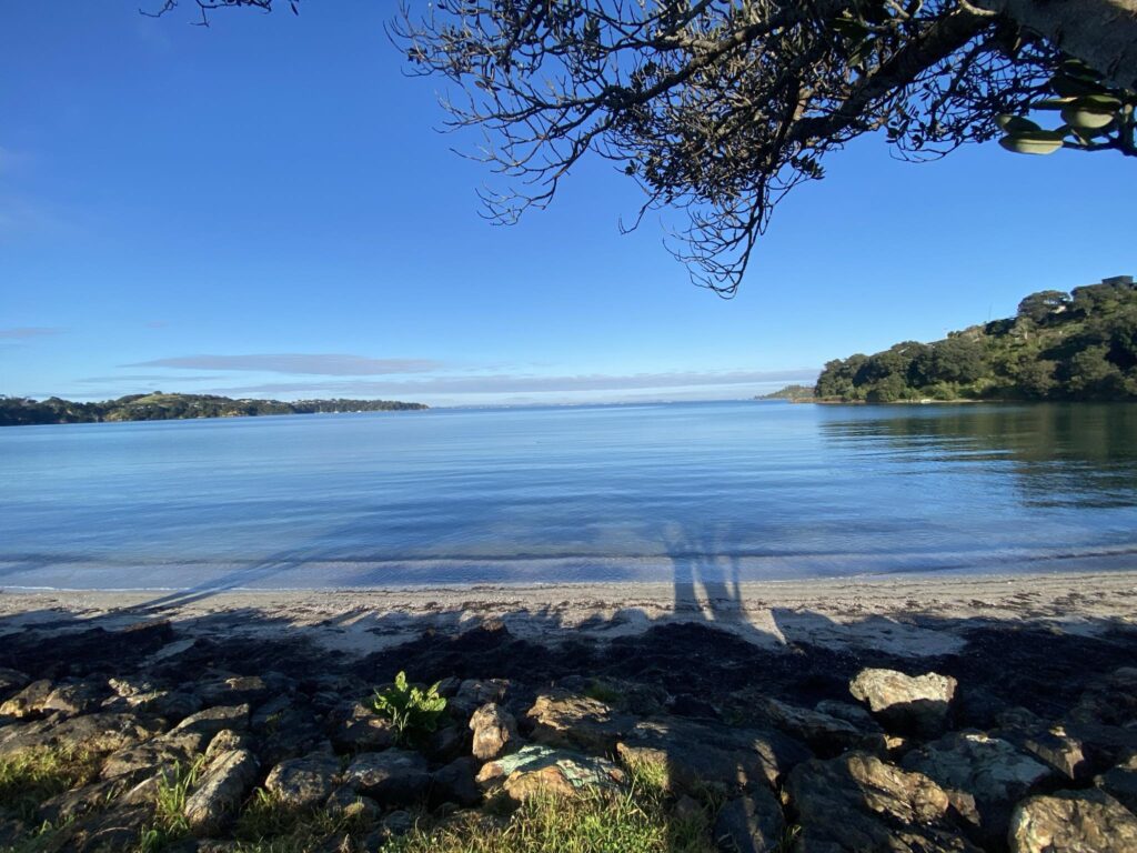 Surfdale Beach Shoreline View