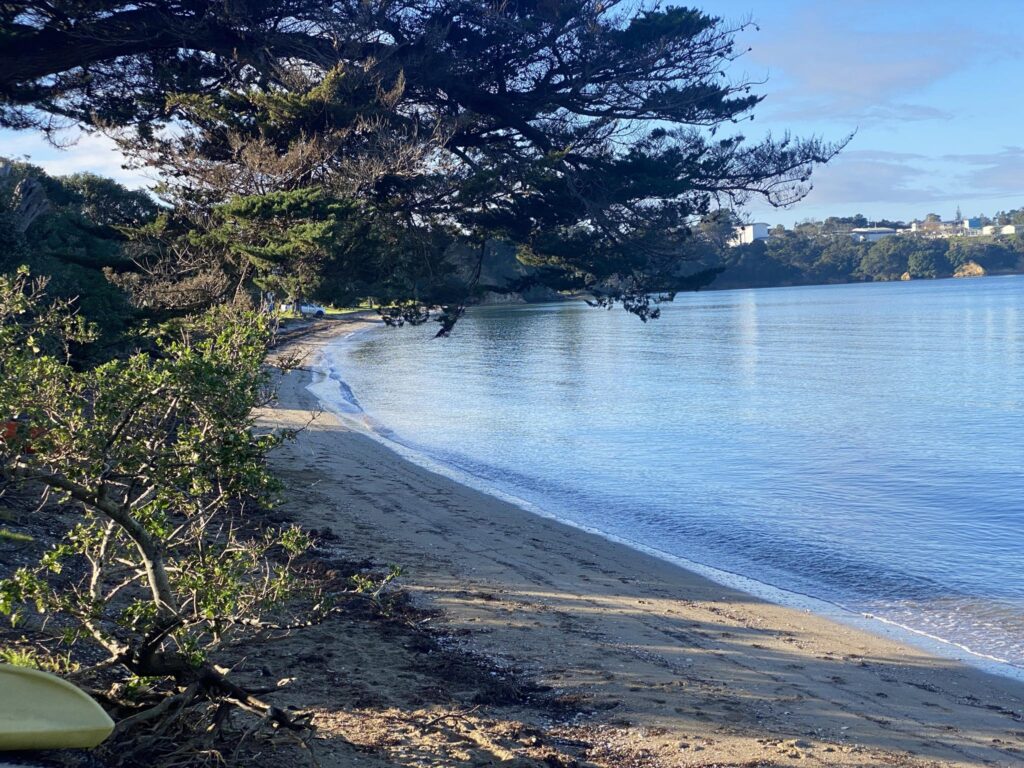 Surfdale Beach View