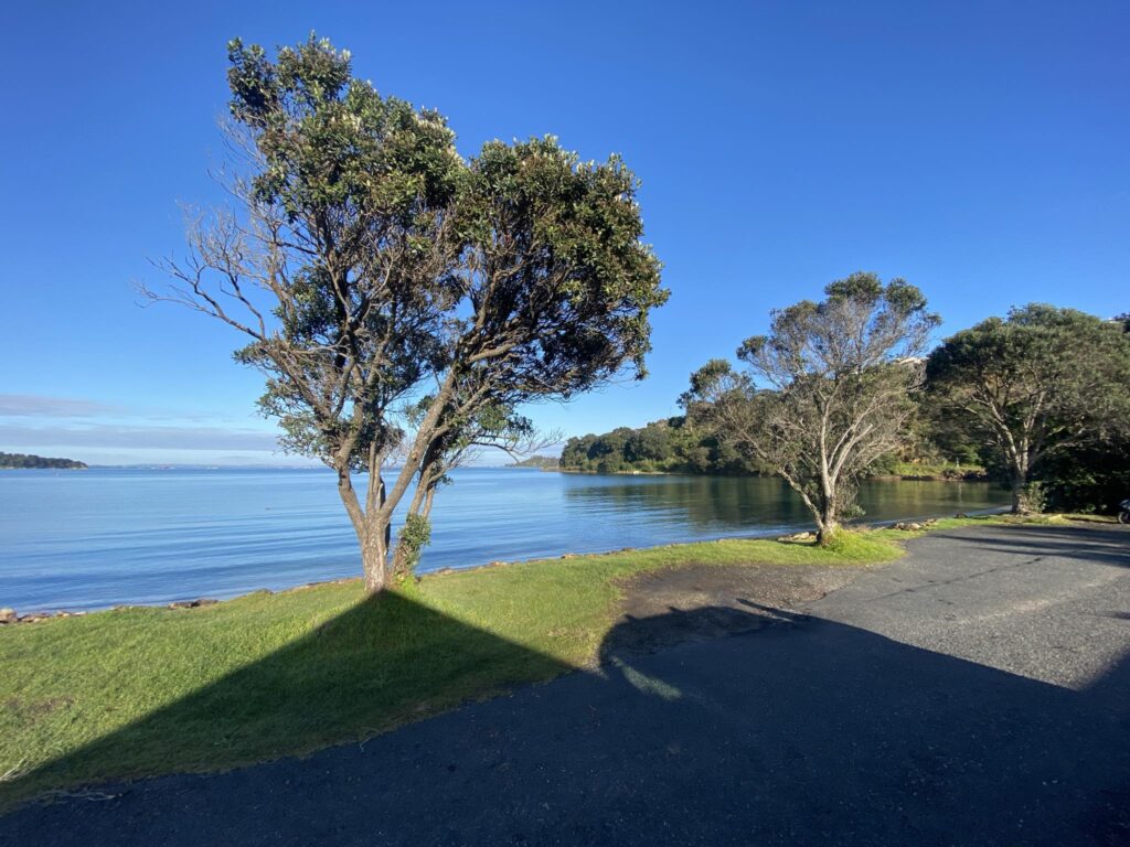 Surfdale Beach View