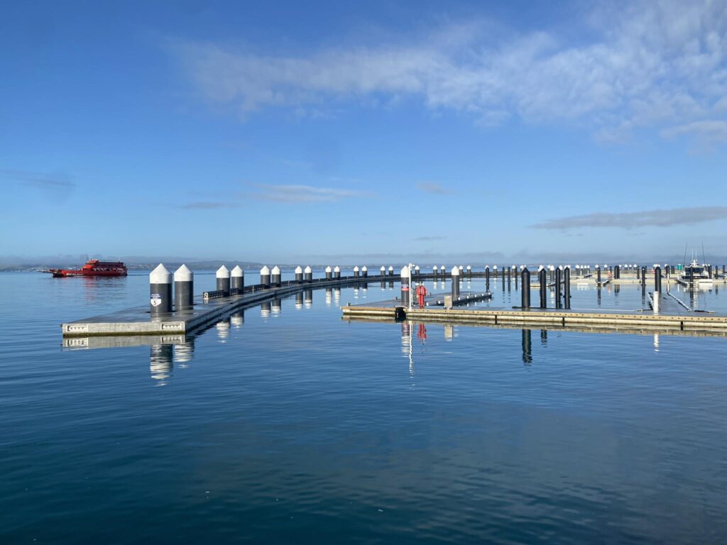 Waiheke Marina Bay And Boat