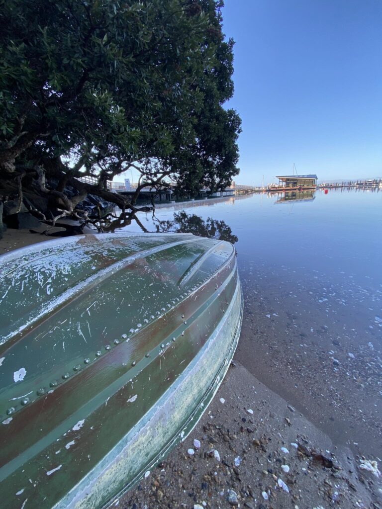 Waiheke Marina View From Beach