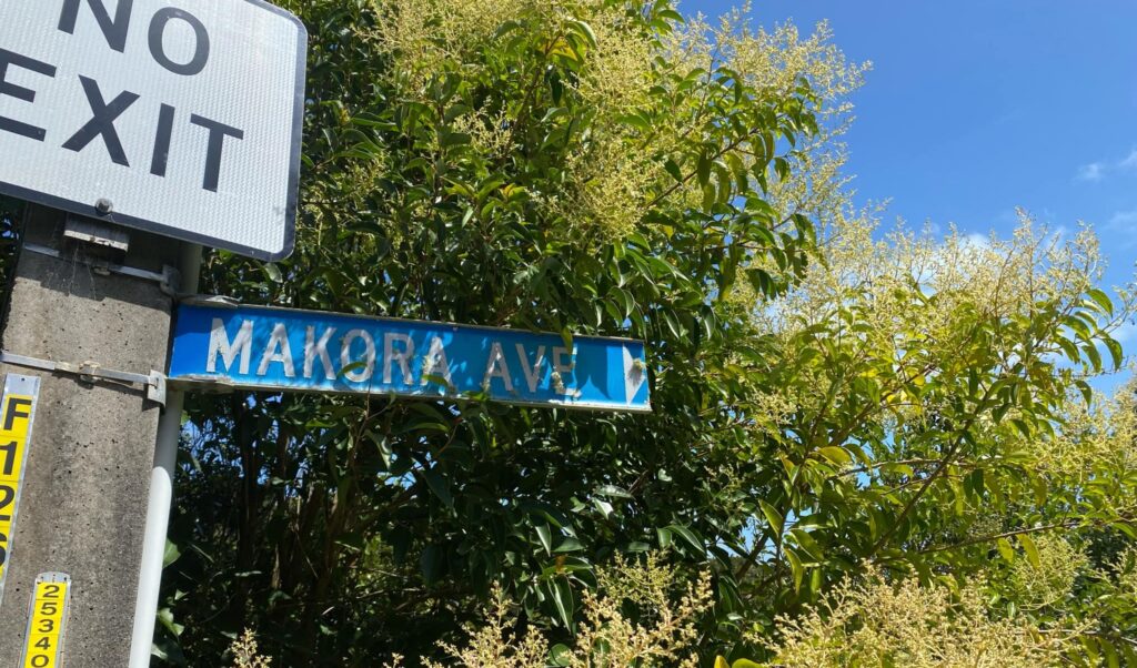 Makora Avenue