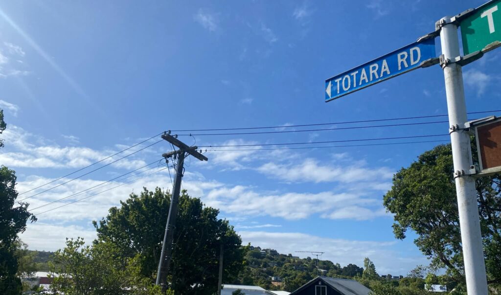 Totara Road