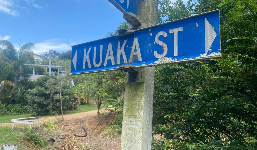 Kuaka Street