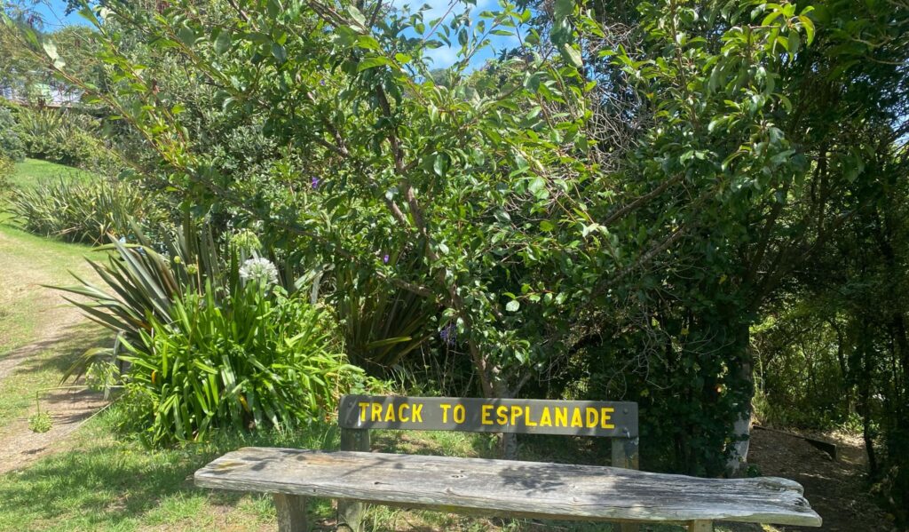 Makora to Esplanade Walkway